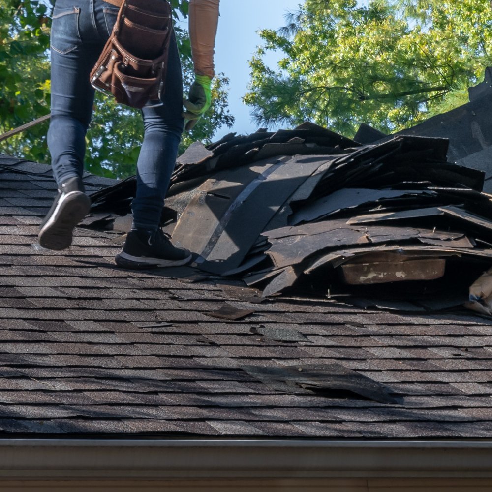 Roof Repairs